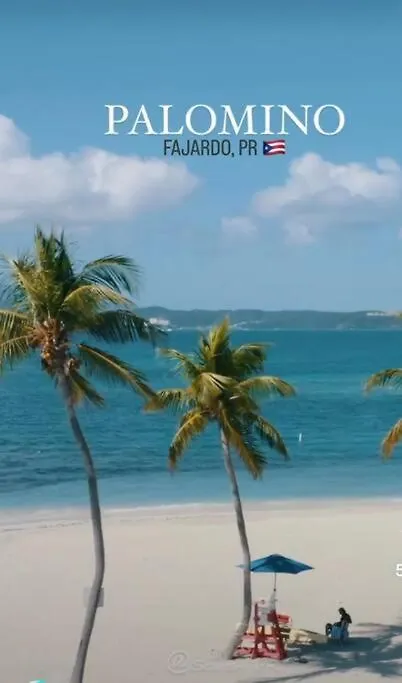 Private Penthouse Paradise Ceiba Holiday home